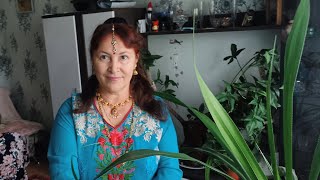 ALBINA loves INDIA is live Отвечаю на ваши часто задаваемые вопросы 🤩 I answer your  questions 😁🤩