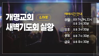 개명교회 새벽기도회 | 2023년 2월 20일(월)