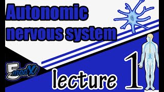 autonomic nervous system lecture one