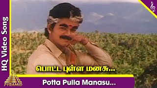 Potta Pulla Manasu Video Song | Selva Tamil Movie Songs | Vijay | Swathi | Sirpy | Pyramid Music