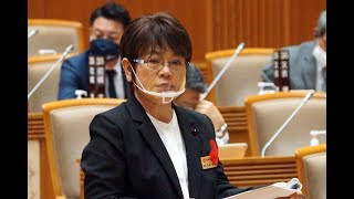 石原 朝子 （沖縄・自民党）１１月定例会 一般質問　令和２年第７回沖縄県議会