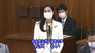 【公式】松川るい参議院議員　政府開発援助等に関する特別委員会【2020年5月29日】