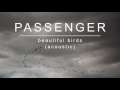 Passenger | Beautiful Birds (Acoustic) (Official Album Audio)