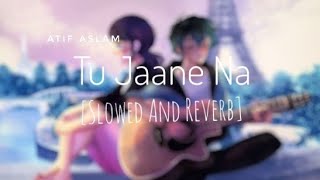 Tu Jaane Na | [Slowed And Reverb] | Ajab Prem ki Ghazab kahani | Atif Aslam | 10 PM LOFi