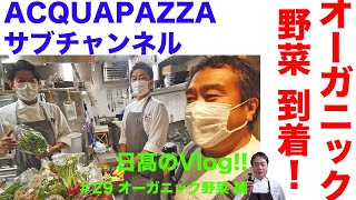 【日高のVlogシリーズ】#29 オーガニック野菜到着！編