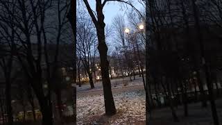 Доброе утро,Спб!06.12.24