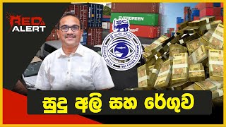 සුදු අලි සහ රේගුව | RED ALERT | The Leader TV