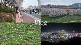 평화로운 일상 vlog l 봄날의 기록