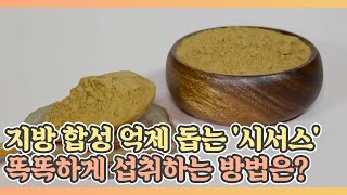 지방 합성 억제 돕는 '시서스', 똑똑하게 섭취하는 방법은? MBN 211231 방송