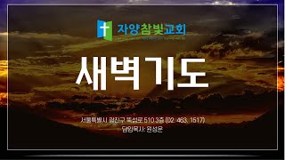 자양참빛교회 새벽기도 (02/13)