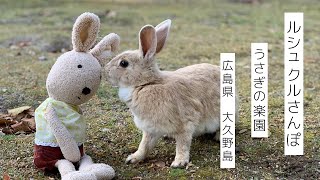 うさぎだらけの島にうさぎのぬいぐるみが行ってみた！【ルシュクルさんぽ：広島県／大久野島編vol.1】ep.33