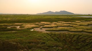 The Landscape That Disappear | Sunset | Mars Water Island | Sunset