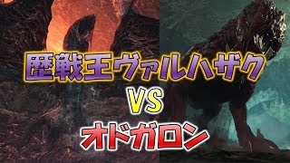 歴戦王ヴァルハザクVSオドガロン 縄張り争い【モンスターハンターワールド(MHW)】