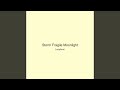 Storm Fragile Moonlight