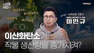 지구 온난화의 주범 이산화탄소가 작물 생산량을 증가시켜요??｜스마트팜 설명서 EP. 11