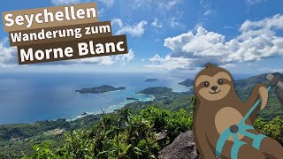 Der kleine Bruder vom Mont Blanc | Morne Blanc | Seychellen