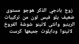 زوج بادجي الذكر هوجو يلو فيس لون من تركيبات الرينبو وانثى لاتينو شوشة