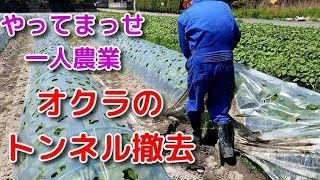 オクラトンネル撤去　2019/5/5