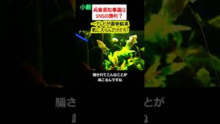 お笑い小藪、テレビは傲慢!!兵庫県知事選で【政治ニュース】