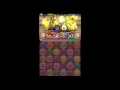 【パズドラ】第15回チャレンジダンジョン　lv.10【ベジットパーティ】