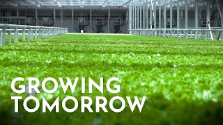 Teaser  -  Growing Tomorrow