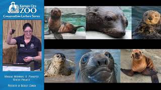 Marine Mammal \u0026 Pinniped Rescue Project