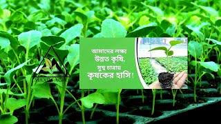 ম্যাক্সিম এগ্রো I একটি আধুনিক সবজি চারার নার্সারী | Maxim Agro