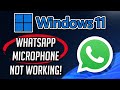 Whatsapp Microphone Not Working Windows 11/10 FIX