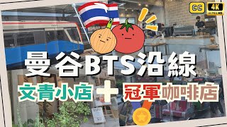 【Eng Sub】💚Veggie Food🌿along BTS Skytrain in Bangkok🚝Sukhumvit Line🚝Asok•Phrom Phong•Phaya Thai•OnNut