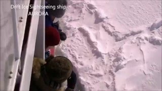 #005【オホーツク冬の観光】 流氷砕氷船 オーロラ　Drift Ice Sightseeing Ship AURORA