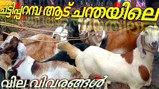 ആട് ചന്തയിലെ വില വിവരങ്ങൾ chattiparamba chantha മുഴുവൻ വില #chattiparamba#chanda #cattle#goat #goats