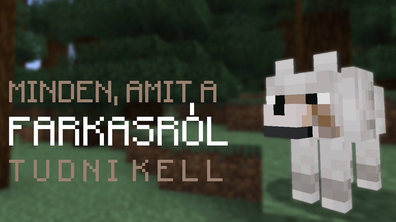 Minecraft: Minden, Amit A Farkasról Tudni Kell! - YouTube