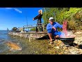 Rare Wild Hogs on a Remote Island - Redfish, Snapper, Puffers and Steak! (Catch & Cook)