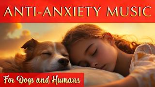 Music for Your Pup 🐶 12-Hour Anti-Anxiety Relaxation