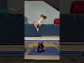 fail acrobatics trampoline shortfeed failflip flipfails comedyfilms usa shorts shortsfeed