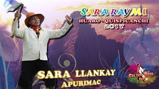 SARA LLANKAY de Apurimac SARA RAYMI 2017