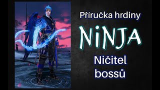 Příručka hrdiny: Ninja