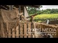 Tom Sykes - Crow Shooting With SHOTKAM - Pallet Hide