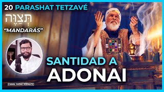 Santidad a Adonai | #20 PARASHAT TETZAVÉ  (MANDARÁS)