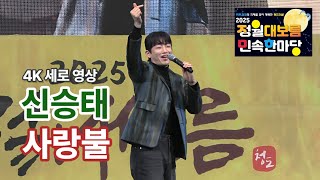 신승태 - 사랑불 (세로영상) / 2025 청도 정월대보름 민속한마당 (250212)