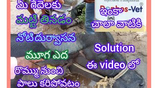 what are the benefits and uses of dophos injection  in telugu !! phosphorus ఉపయోగాలు