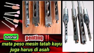 cara mengasah mata peso mesin tatah/bobok kayu//mortiser chisel