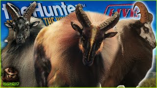 TAHR TAHR TAHR AND MORE TAHR!!! The Great One Tahr Grind Is Back And POPPING OFF! Call of the wild