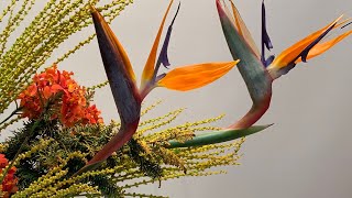 横長の構成 Sogetsu  Ikebana  Arrangment No.20