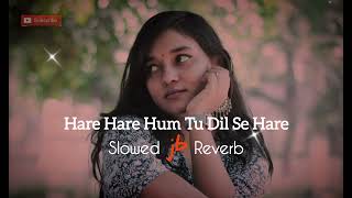 Haare Haare - Hum Tu Dil Se Hare | Slowed & Reverb | Josh | JB Khan Editzz