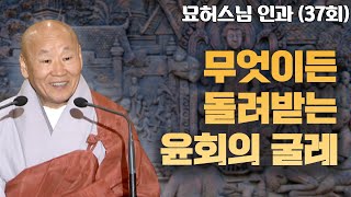 무엇이든 돌려받는 윤회의 굴레 [묘허스님의 인과 37회]