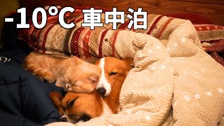 雪道が怖いので、暖め合って1泊しました【コーギー】【マンチカン】