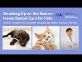 Home Dental Care for Pets