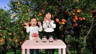 Mandalina Suda Neden Batmıyor Deneyi  /  Why Tangerine Does Not Submerge in Water Experiment