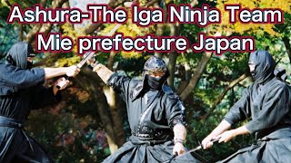 【Real Ninja Performance】Iga Ninja Museum Mie Prefecture Japan【Ashura-The Iga Ninja Team】2023.03.24